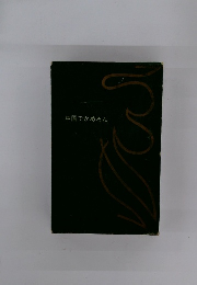 中国でかめろん