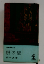 長編推理小説　眼の壁