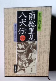 南総里見八犬伝　8