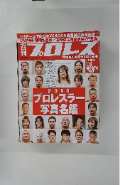 プロレス　2010年1/3号　No1504