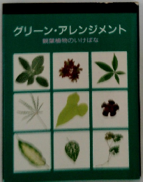 グリーン・アレンジメント 観葉植物のいけばな