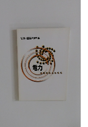 電験3種講座教科書 電力