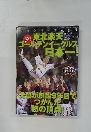 週刊ベースボール増刊　2013年12月6日号