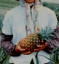 台湾 付香港・マカオ TAIWAN HONGKONG MACAO