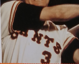 プロ野球６０年　１９７４　2009年4/7-14号