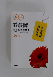 看護師　2019年