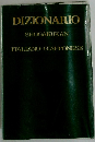 DIZIONARIO　