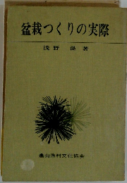 盆栽つくりの実際