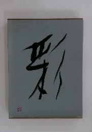 ハイセンス豪華本資生堂　彩