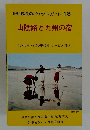 旅行協会のポケット・ガイド 18 山陰路と九州の宿