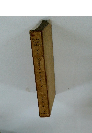 マイレーディニュティーン