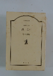 長編時代小説　逃亡(下)