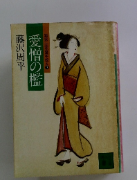 愛憎の艦 獄医 立花登手控え3