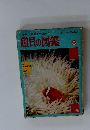 小学館の学習百科図鑑 13 魚貝の図鑑