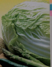 野菜病害ハンドブック