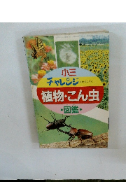 小三 チャレンジ　4月号ふろく 植物・こん虫
