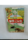 小三 チャレンジ　4月号ふろく 植物・こん虫