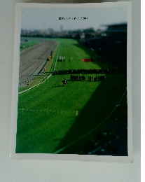 東京サラブレッドクラブ2007