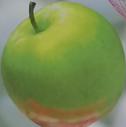 パソコンリテラシ　1996年10月号　