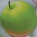 パソコンリテラシ　1996年10月号　