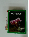 科学のアルバム サボテンのふしぎ