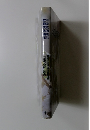 情報化時代の読書指導　[表現・理解読書]