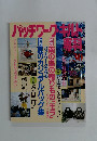 パッチワークキルト　30　1995年