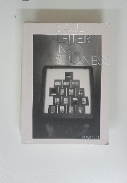 SAUL LEITER IN STILLNESS