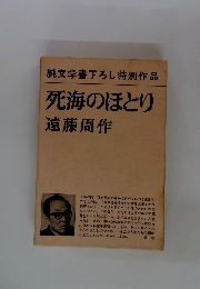 純文学書下ろし特別作品　死海のほとり
