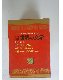 少年 少女世界の文学 日本編 4　