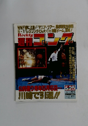 ゴング　1994年5/26号 No. 513
