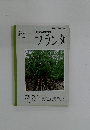 プランタ1995年７月