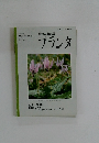 プランタ　1995年3月　第38号