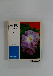 大輪朝顔　土なしで長く楽しめる新栽培法