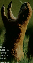 NATIONAL GEOGRAPHIC　1998年4月号