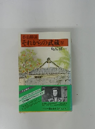 それからの武蔵　IV　