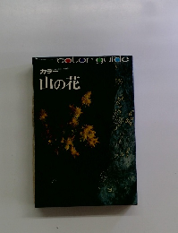 color guide　カラー山の花
