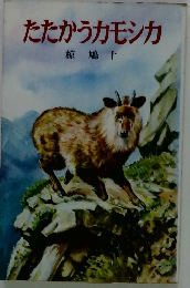 たたかうカモシカ