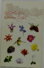 カナディアンロッキーに咲く