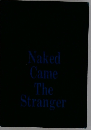 Naked Came The Stranger