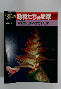 朝日百科動物たちの地球63　9月6日号　無脊椎動物 3 ミミズ・ゴカイ・プラナリアが