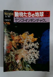 動物たちの地球 62