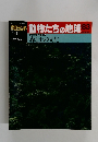 動物たちの地球83  生物圏の構造7 森と土の文化