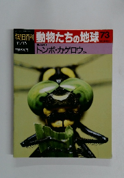 朝日百科動物たちの地球73　11月15日号　昆虫 1 トンボ・カゲロウ