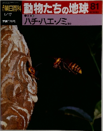 朝日百科動物たちの地球81　昆虫 9 ハチ・ハエ・ノミ