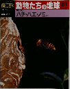 朝日百科動物たちの地球81　昆虫 9 ハチ・ハエ・ノミ