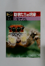 朝日百科動物たちの地球　82　1月24日号