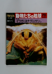 朝日百科　12/20号　動物たちの地球 78