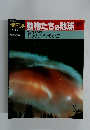 朝日百科　動物たちの地球107　7月18日号