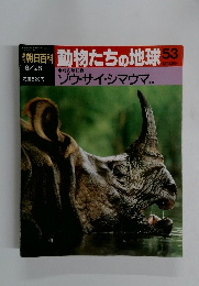 朝日百科動物たちの地球53　6月28日号　哺乳類II⑤ ゾウ・サイ・シマウマが